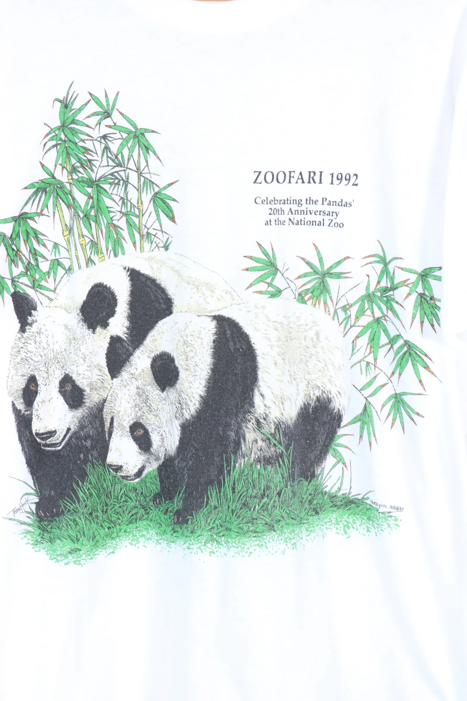 1992 Vintage Panda Zoofari 50/50 Animal T-Shirt (M)